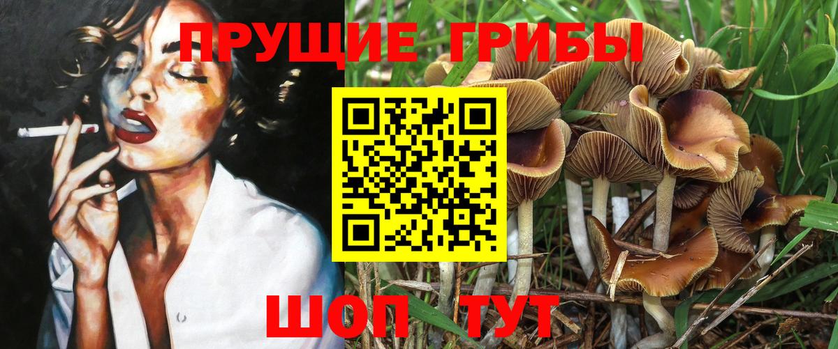 Галлюциногенные грибы ЛСД  Псилоцибиновые грибы Magic Shrooms  Южно-Сахалинск  Вход с VPN 