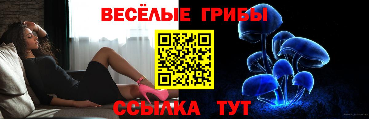 Псилоцибиновые грибы Psilocybine cubensis Южно-Сахалинск